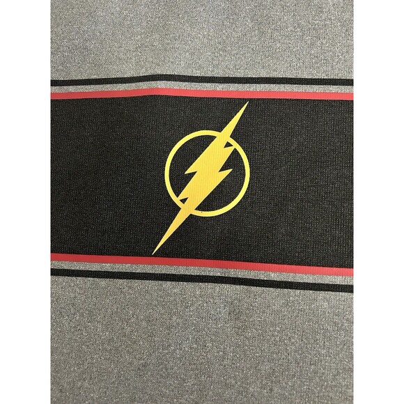 The Flash Men's Medium Gray Hoodie With Flash Logo Six Flags - Picture 2 of 9